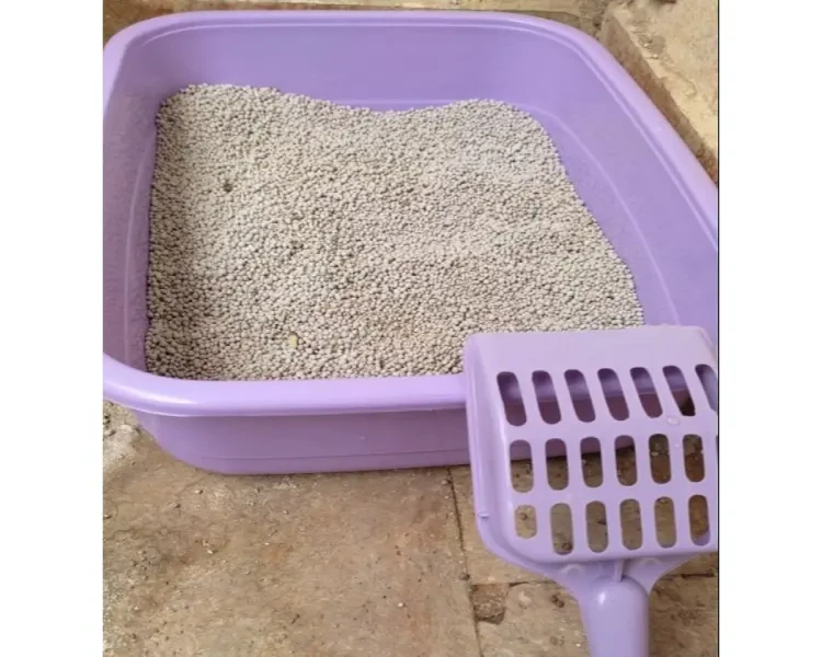 Product???