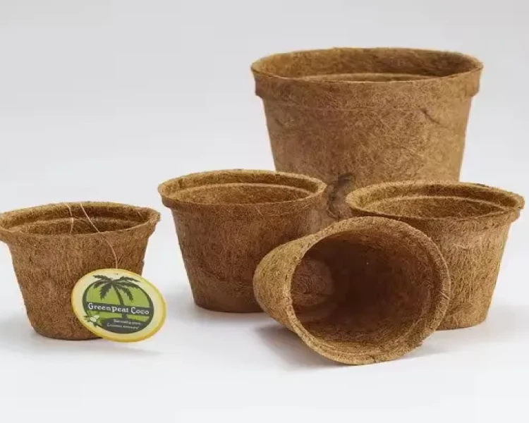 Product???