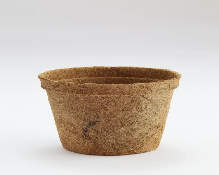 Product???