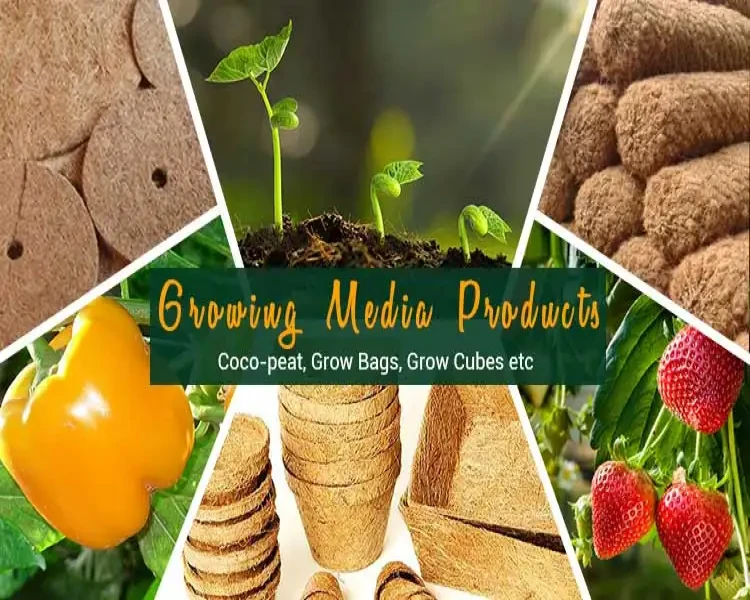 Product???